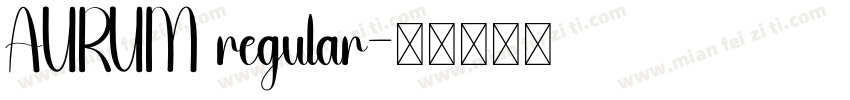 AURUM regular字体转换